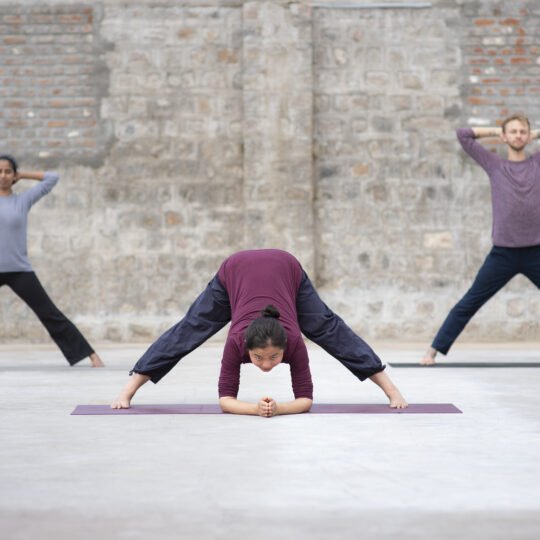 Join the Hatha Yoga Wave: March 21, 2026