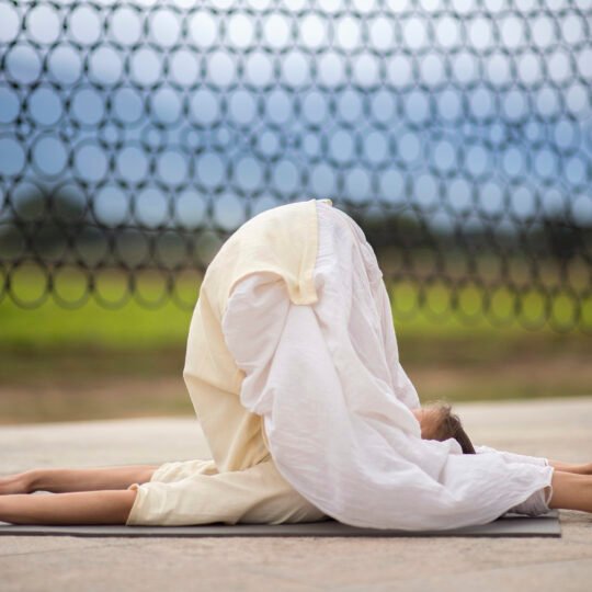 Yogasanas Review (with Advanced Asanas): Guided Practice - February 25, 2026